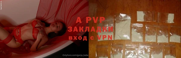 хмурый Абаза