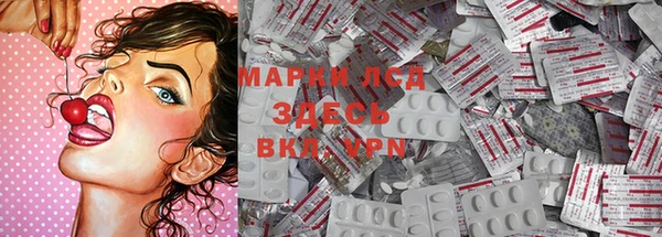 хмурый Абаза