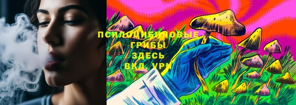 дурь Нязепетровск