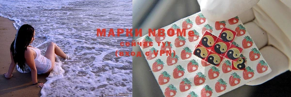 хмурый Абаза