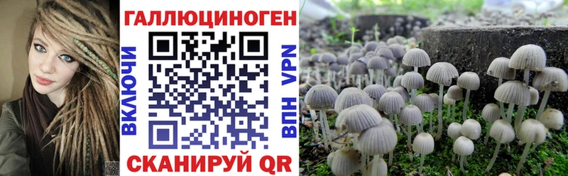 Псилоцибиновые грибы Psilocybine cubensis  блэк спрут ONION  Монино 